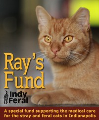 Ray's Fund logo